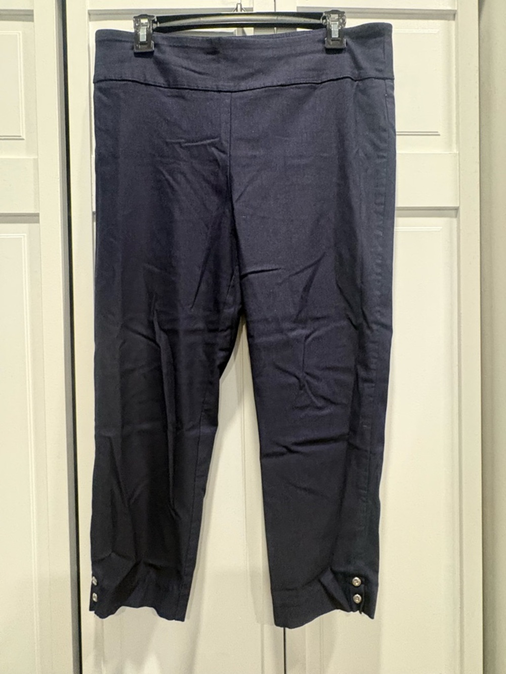 Counterparts Navy Staple Pants